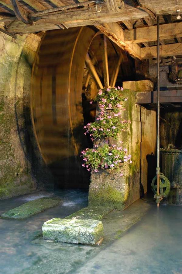 Bed and Breakfast Moulin De La Fleuristerie Orges Exterior foto